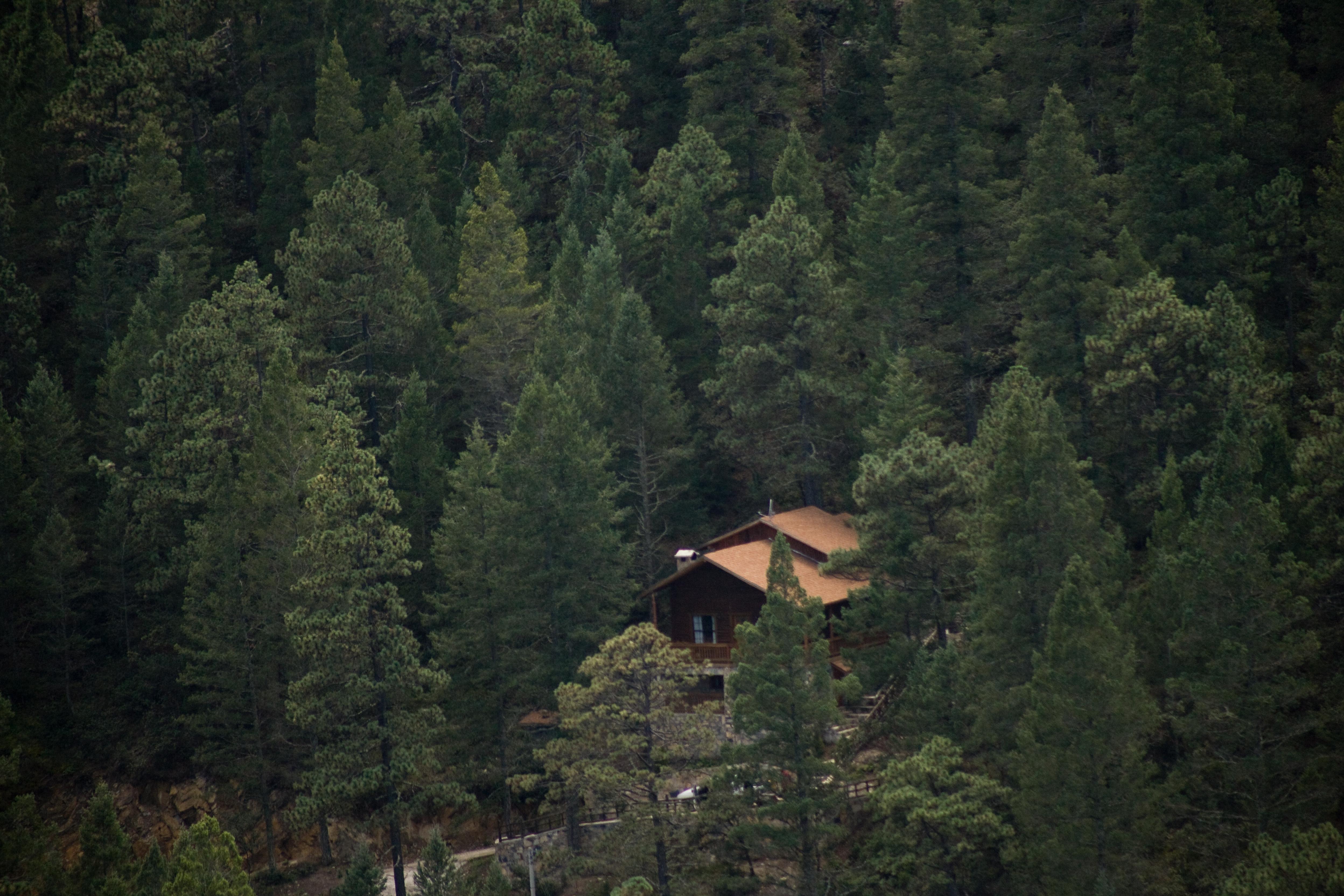 Hotel Bosques de Monterreal à San Antonio de las Alazanas Extérieur photo